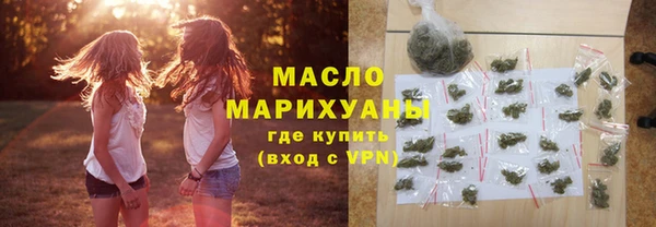 индика Кулебаки
