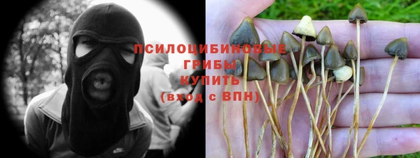 прущая мука Кукмор