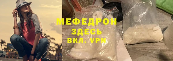 индика Кулебаки