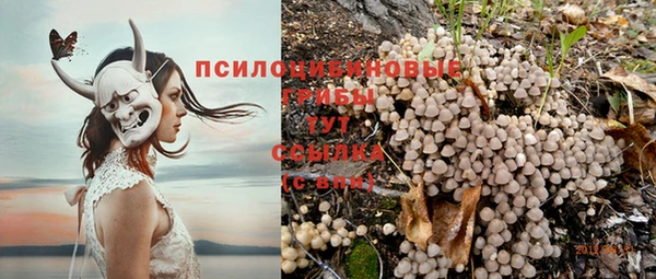 индика Кулебаки