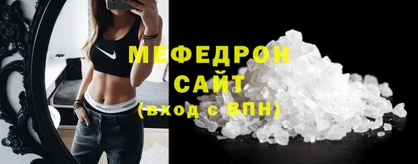 индика Кулебаки