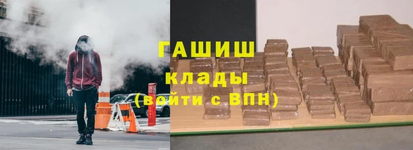 индика Кулебаки