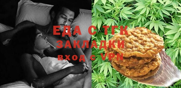 индика Кулебаки