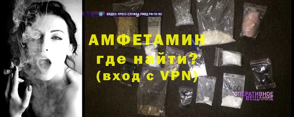 индика Кулебаки