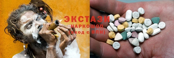 индика Кулебаки