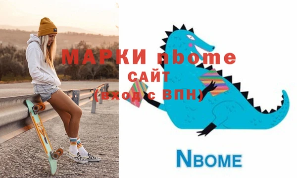 индика Кулебаки