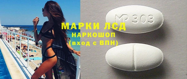 индика Кулебаки