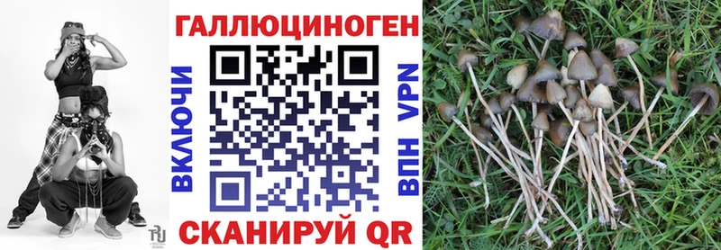 Псилоцибиновые грибы ЛСД Красноуральск